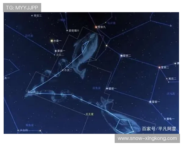 双鱼座出生的足球巨星:探索他们的球场成就与星座特点 双鱼座出生的足球巨星:探索他们的球场成就与星座特点